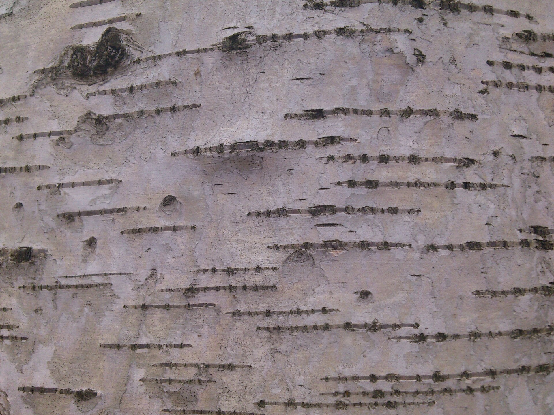 Sony Ericsson Xperia pro