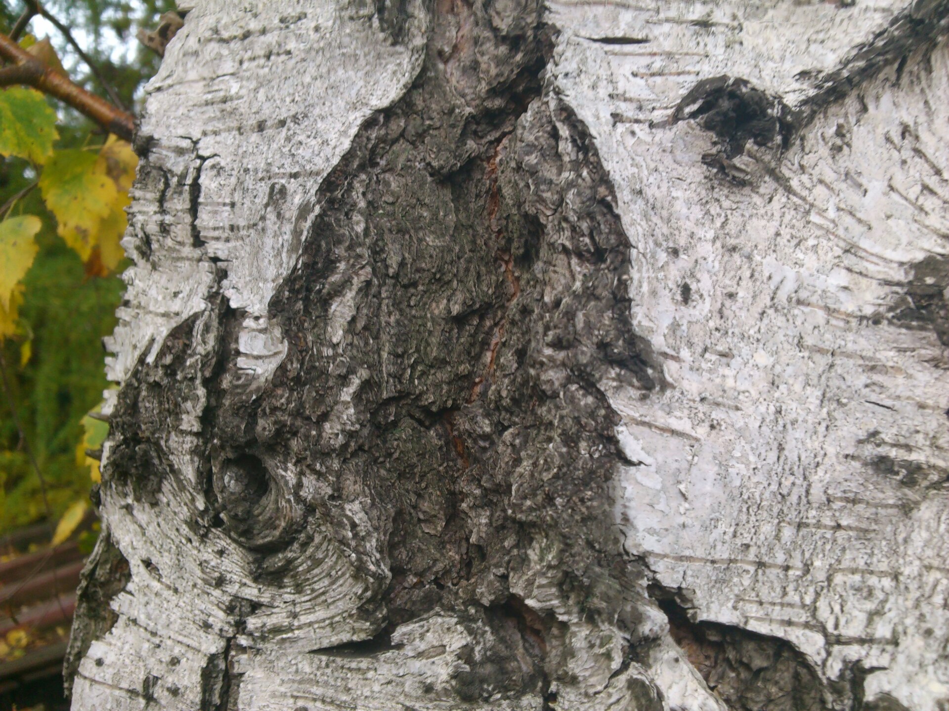 Sony Ericsson Xperia pro