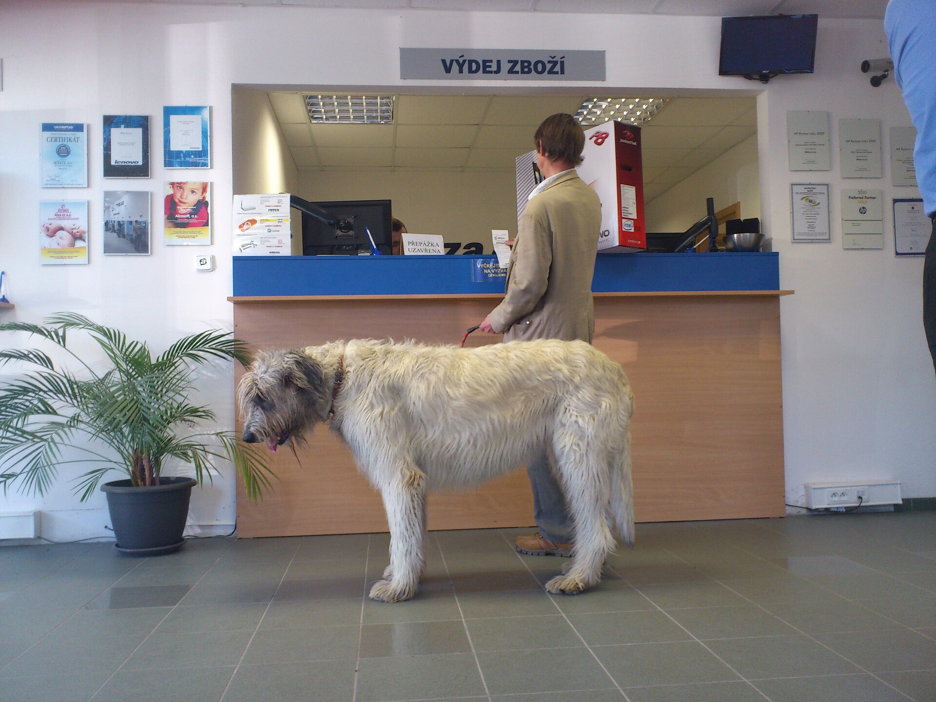 Sony Ericsson Xperia ray