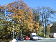 Sony Ericsson Xperia X8