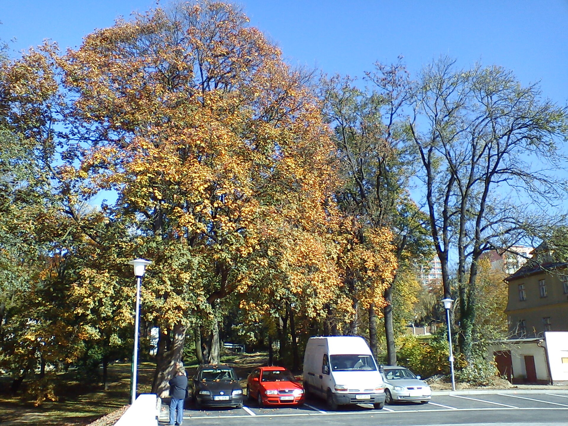 Sony Ericsson Xperia X8