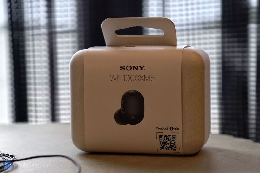 Sony WF-1000XM6