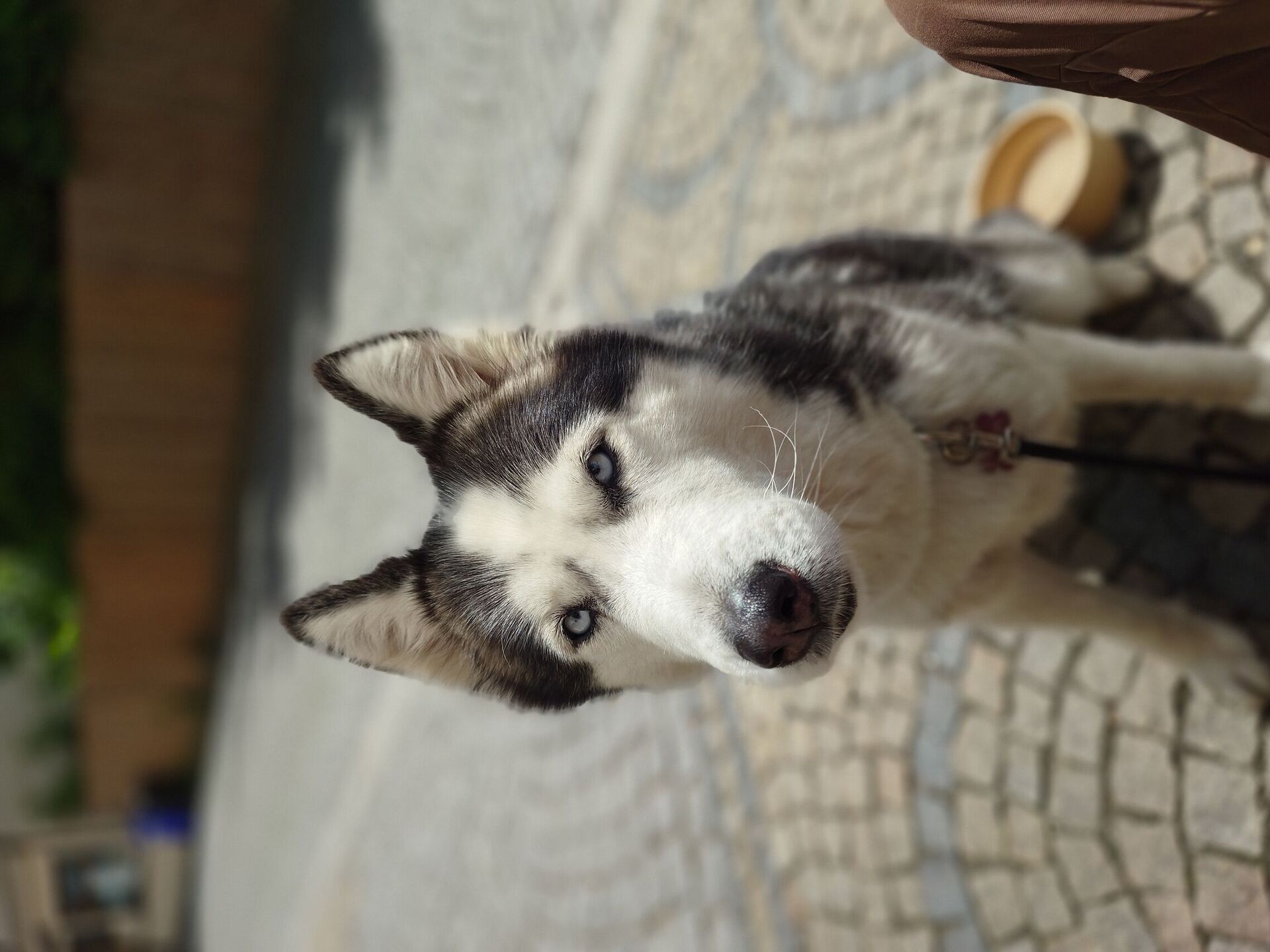 Sony Xperia 1 VIII
