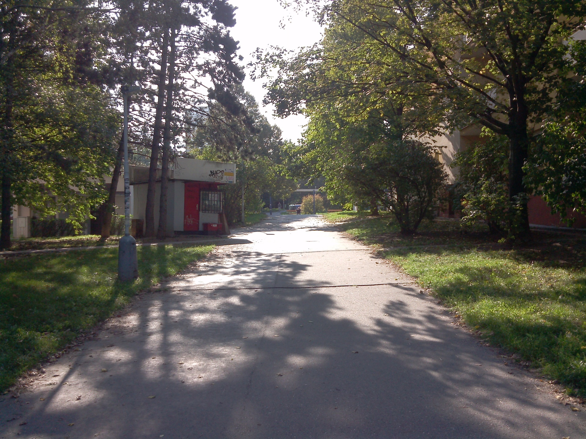 Sony Xperia Tablet S