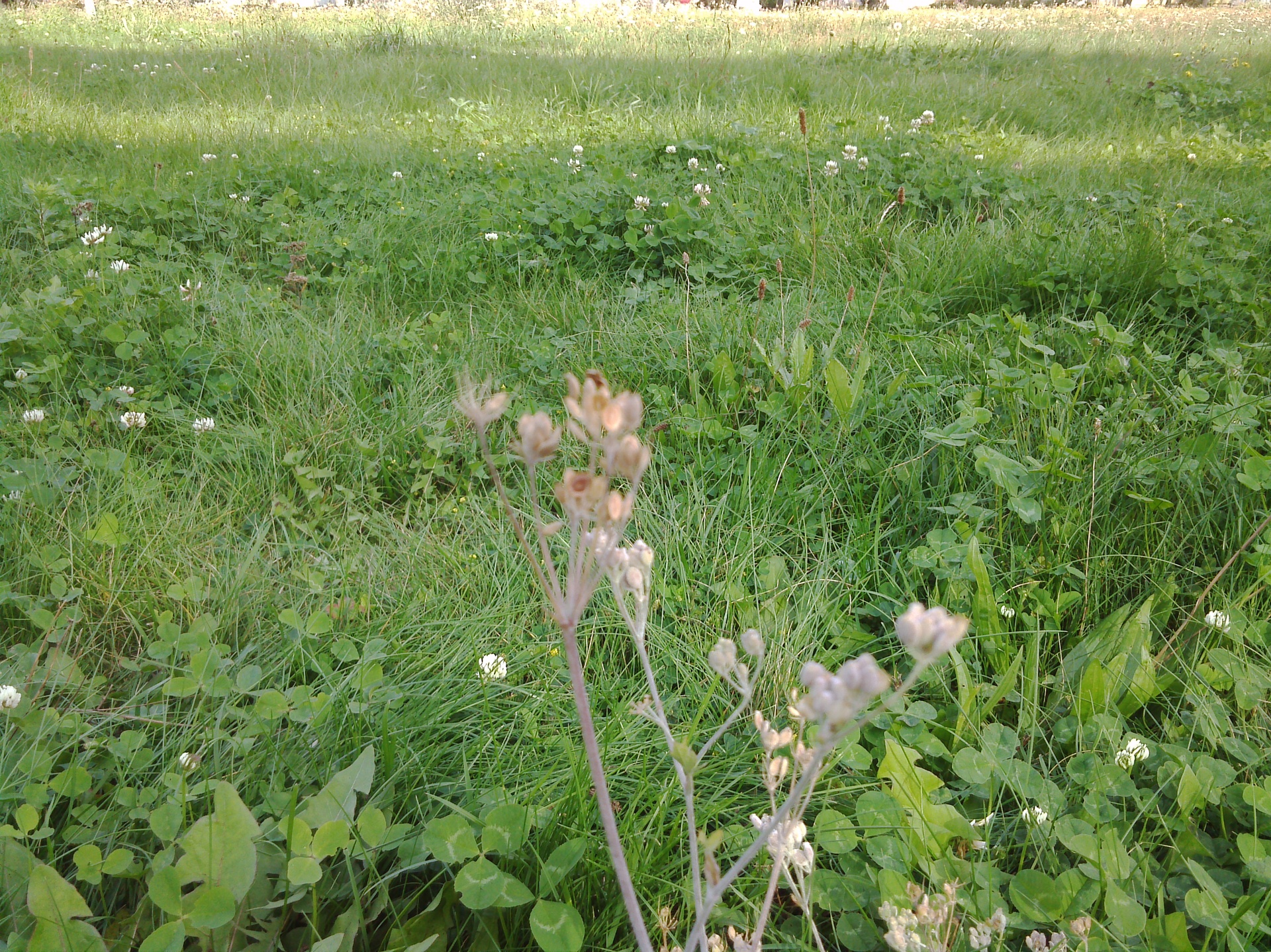 Sony Xperia Tablet S