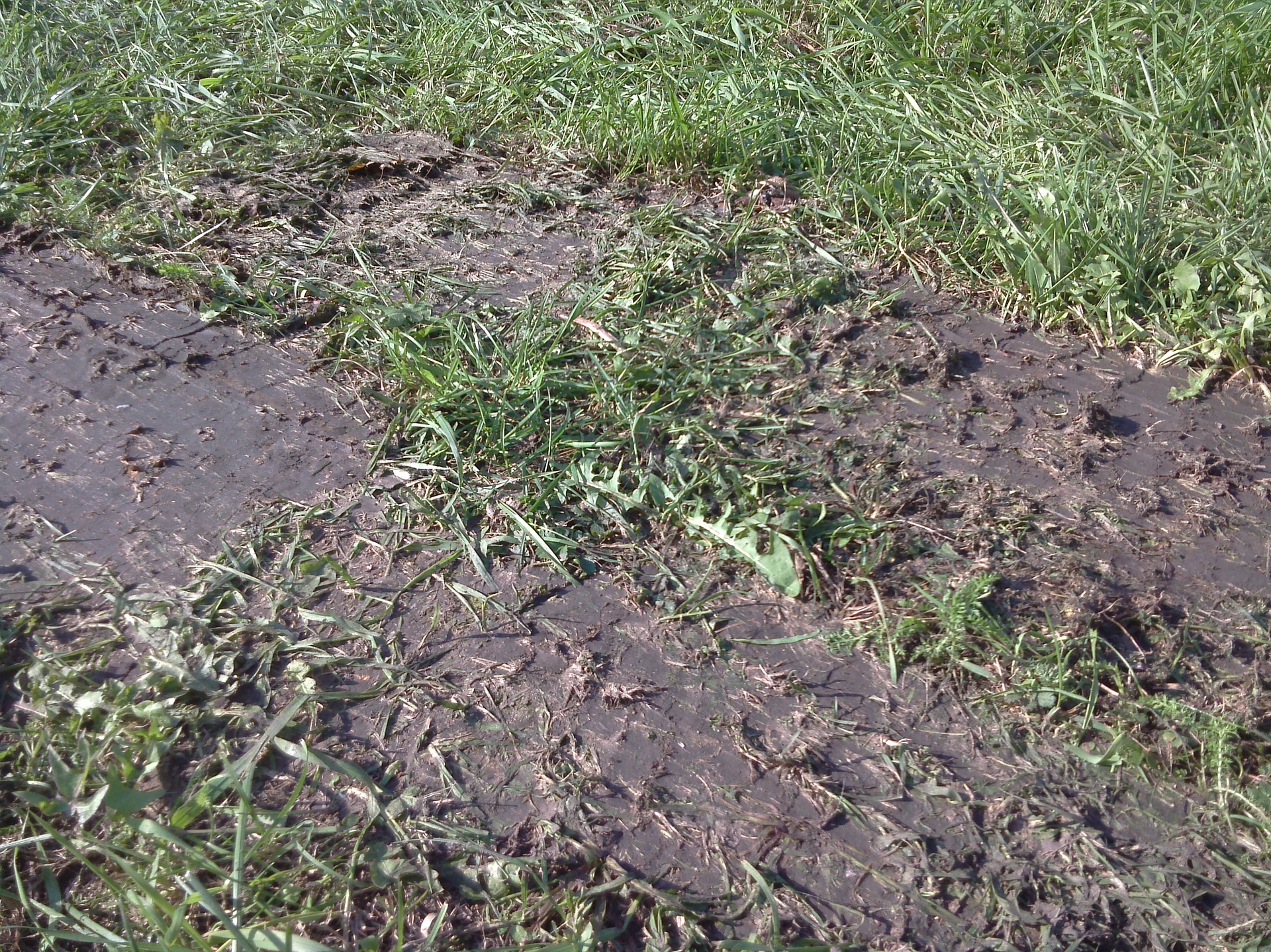 Sony Xperia Tablet S