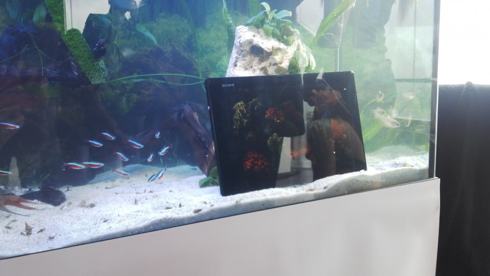 Sony Xperia Tablet Z