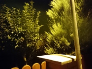 Sony Xperia X Compact