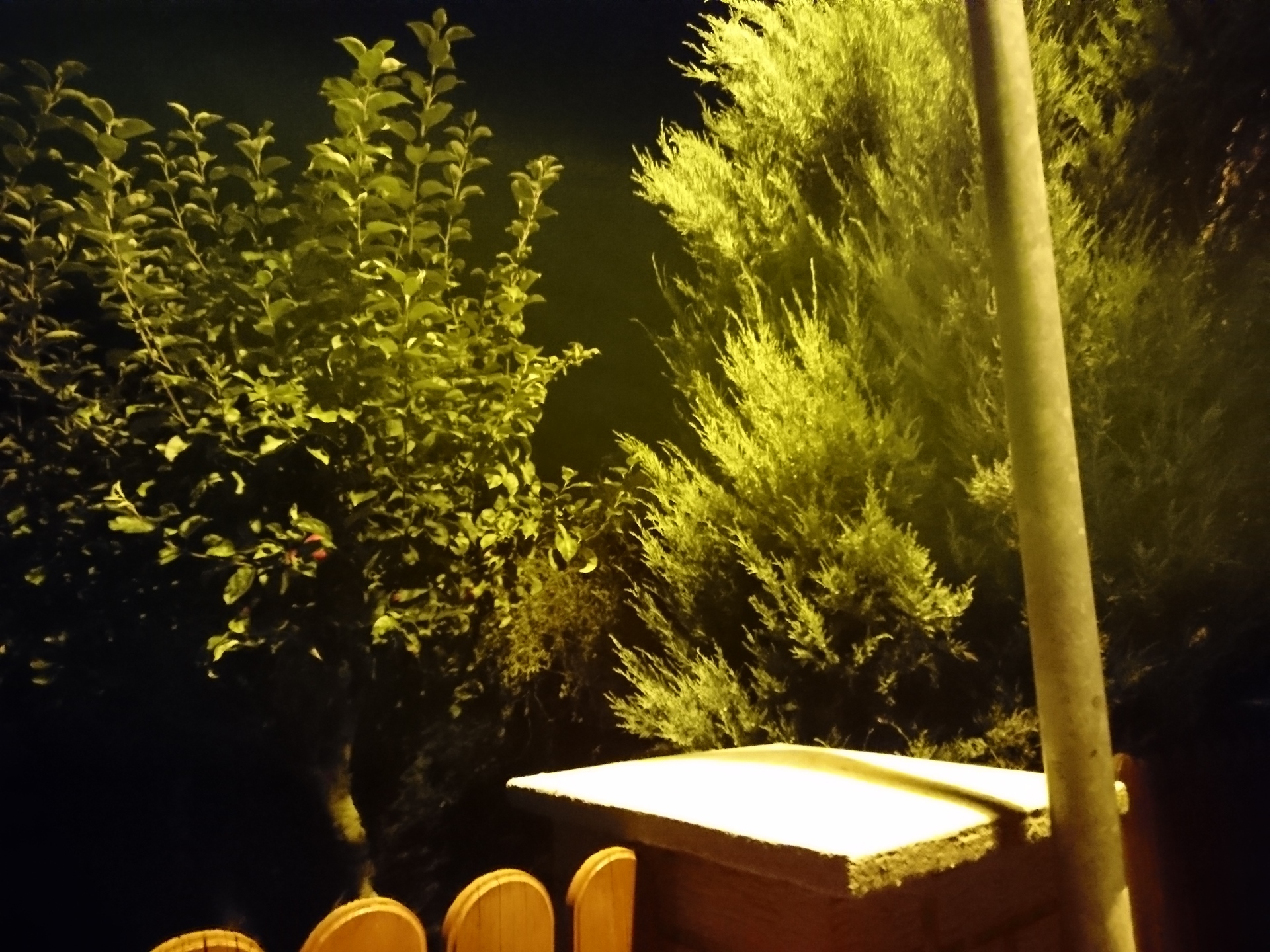 Sony Xperia X Compact