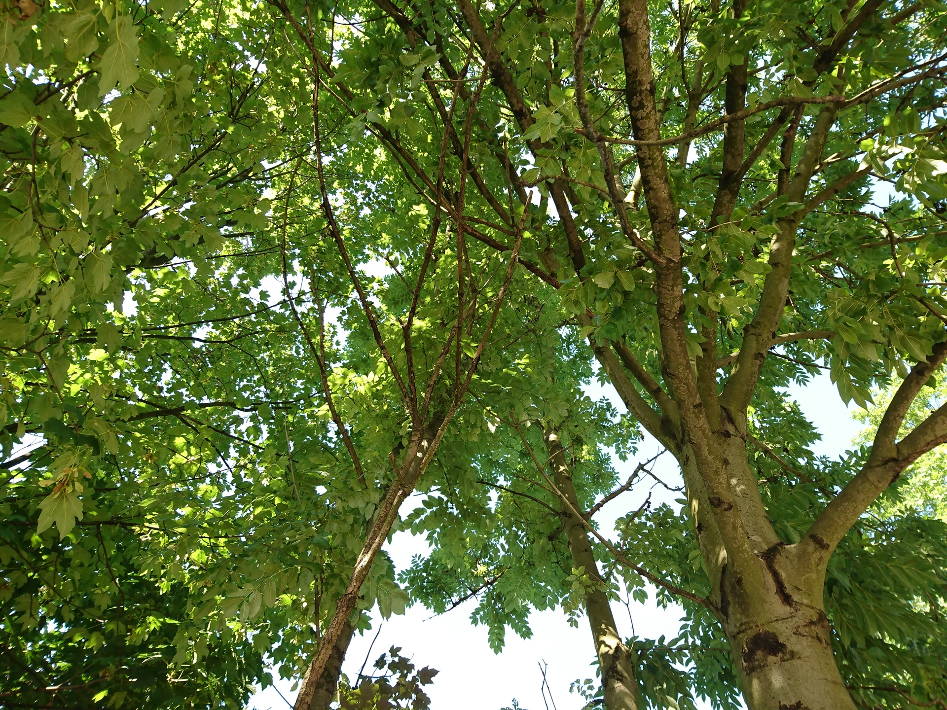 Sony Xperia X Performance 