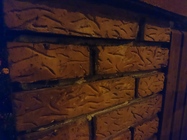 Sony Xperia X Performance 