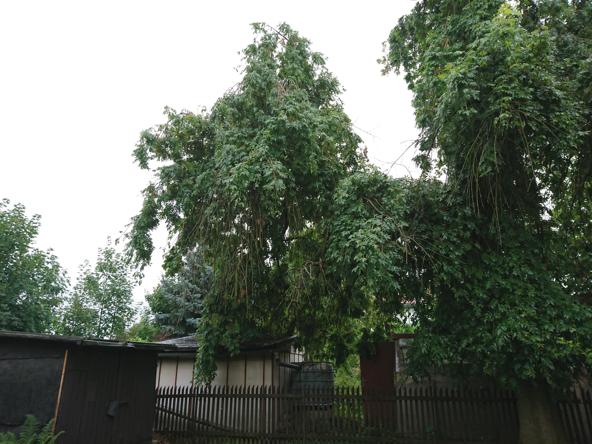 Sony Xperia X Performance 