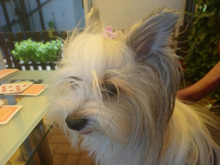 Sony Xperia XA1 Ultra