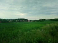 Sony Xperia XA1 Ultra