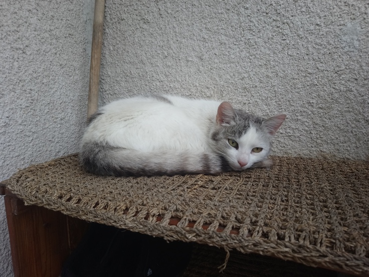 Sony Xperia XA1 Ultra