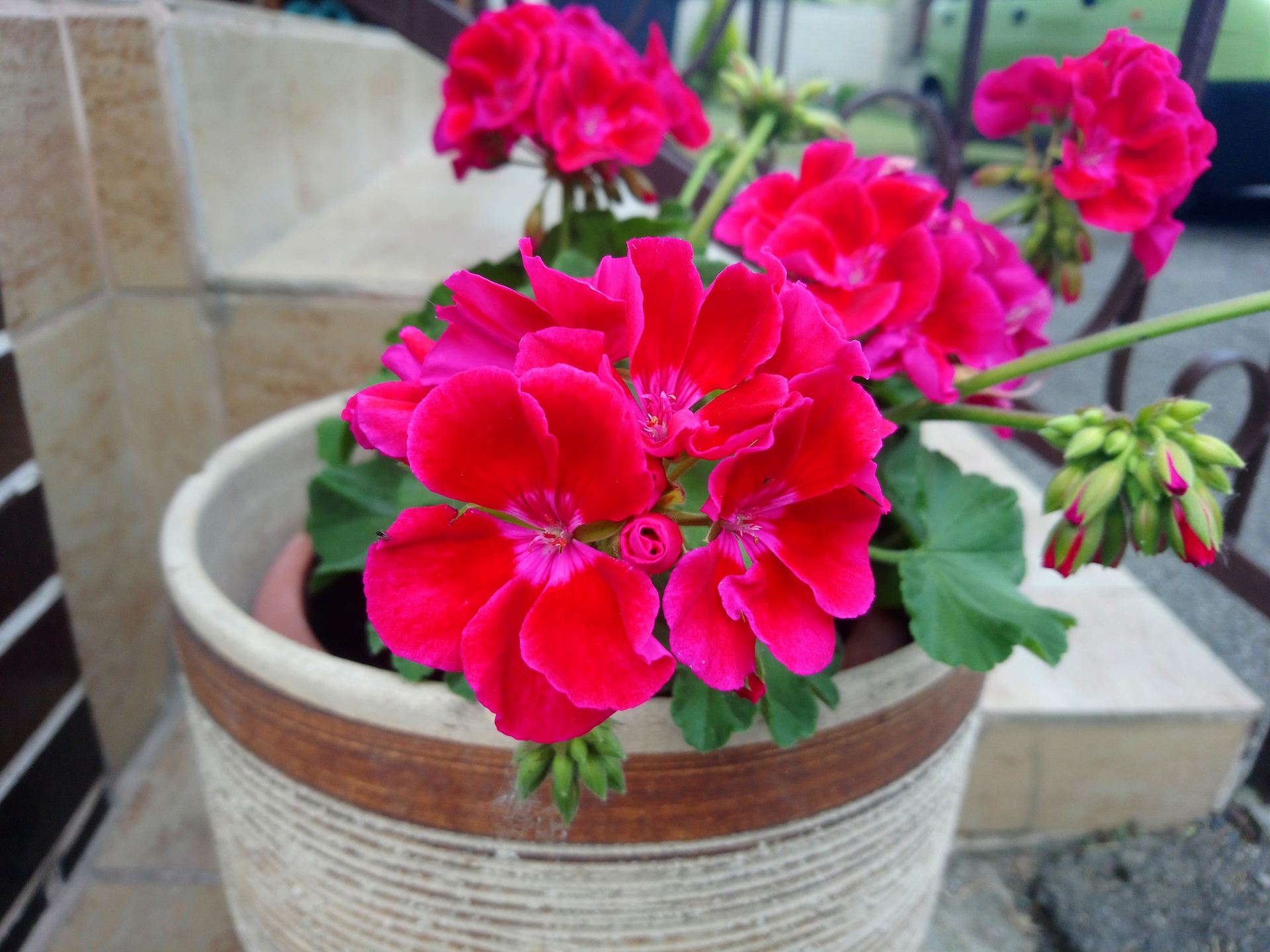 Sony Xperia XA1 Ultra