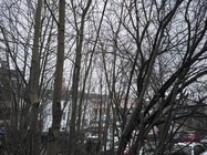 Sony Xperia XA2 Ultra