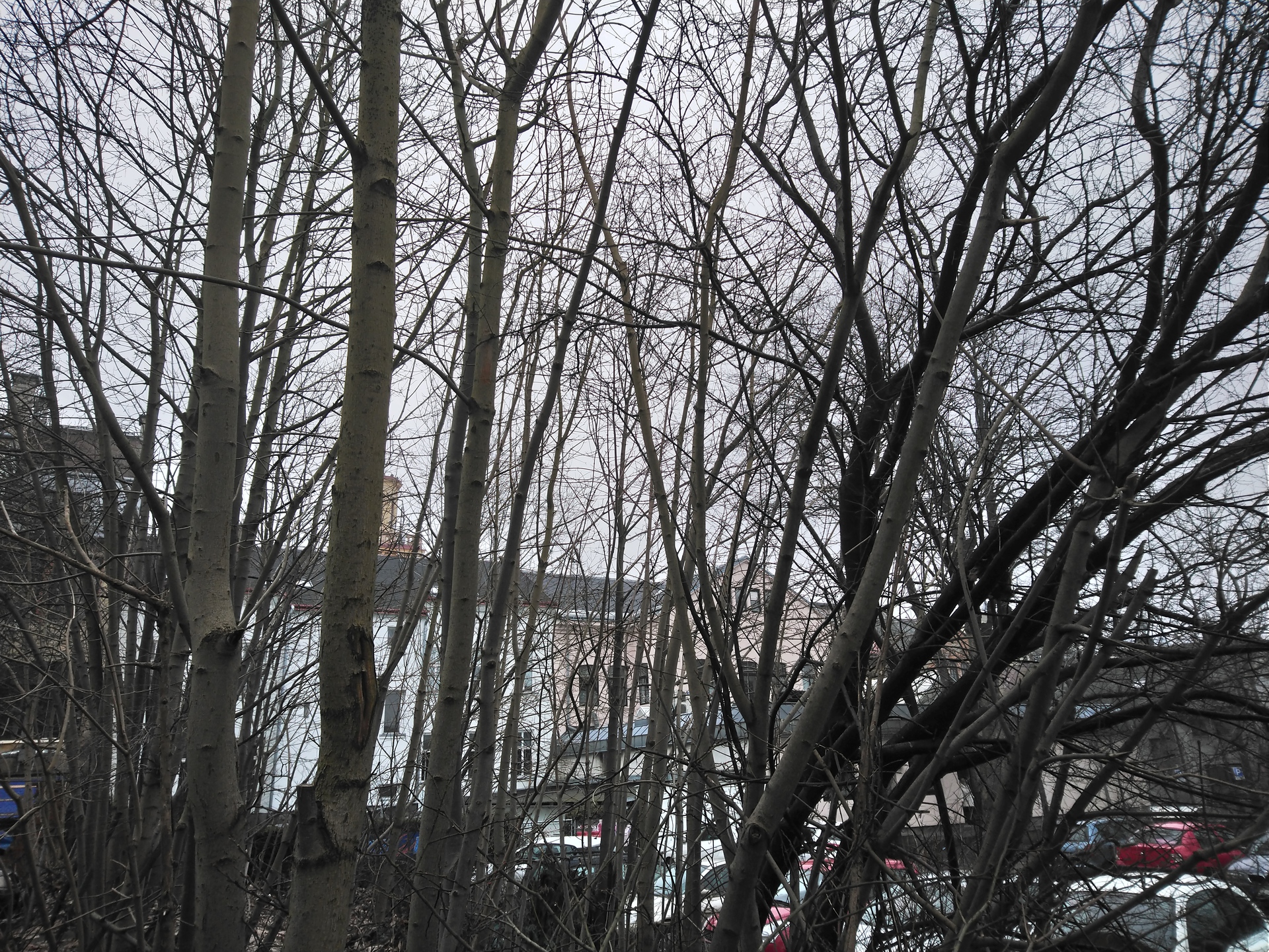 Sony Xperia XA2 Ultra