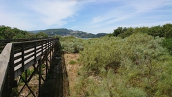 Sony Xperia XZ Premium