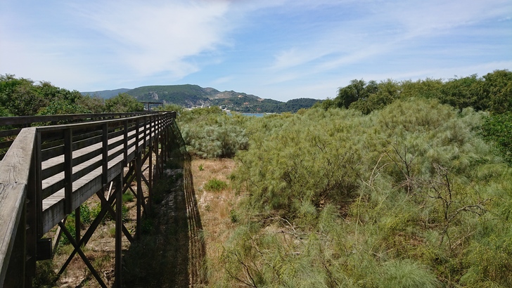 Sony Xperia XZ Premium