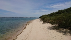 Sony Xperia XZ Premium