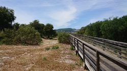 Sony Xperia XZ Premium