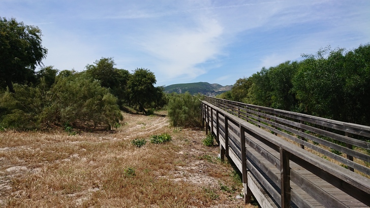 Sony Xperia XZ Premium