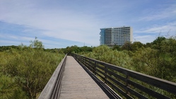 Sony Xperia XZ Premium