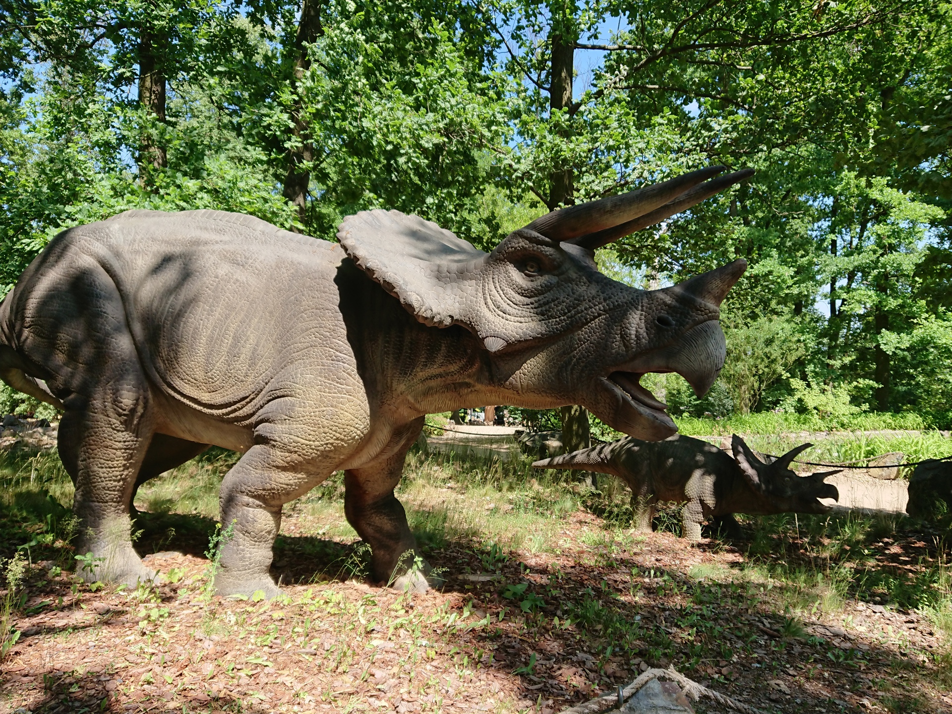 Sony Xperia XZ Premium