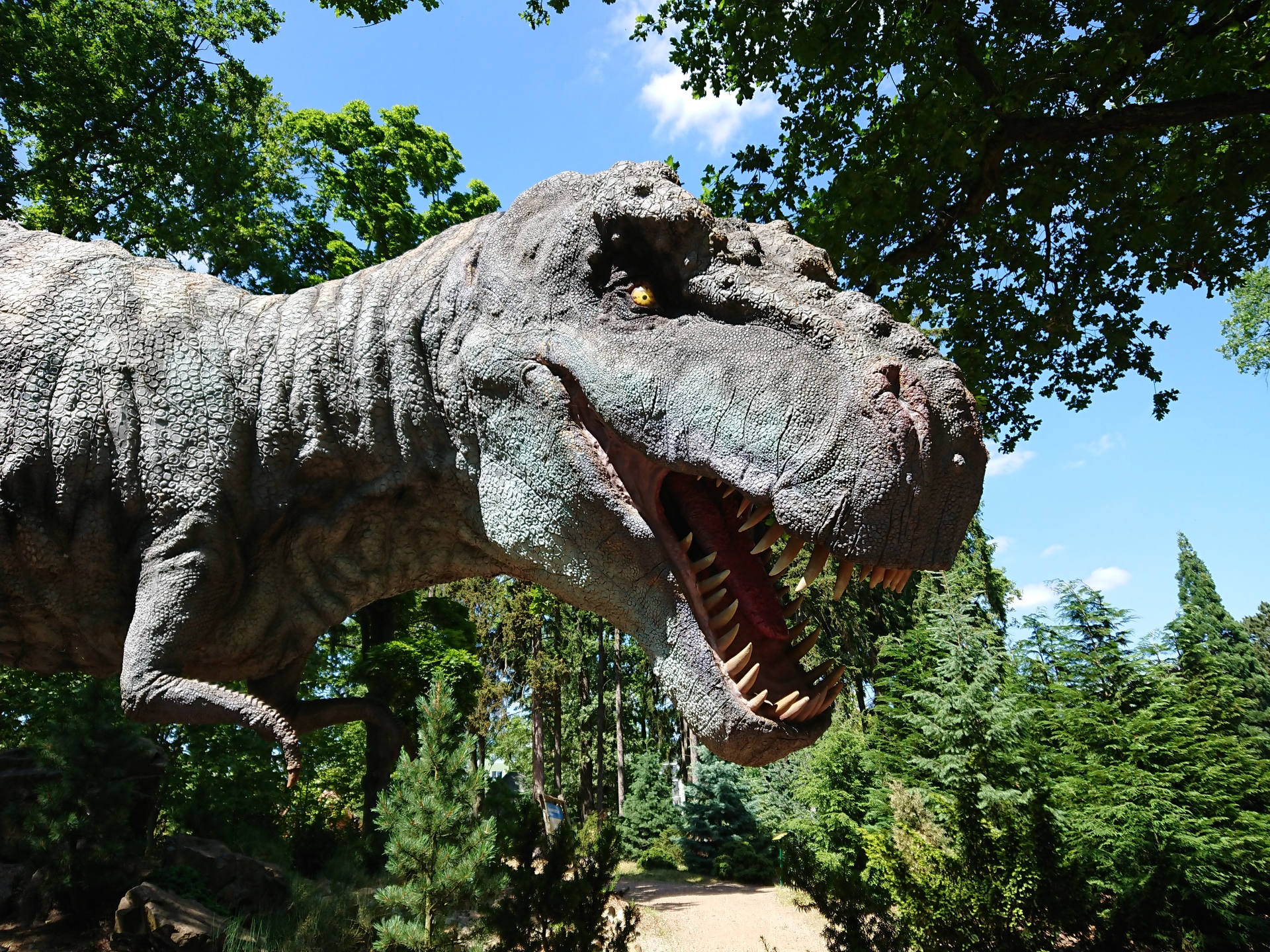 Sony Xperia XZ Premium