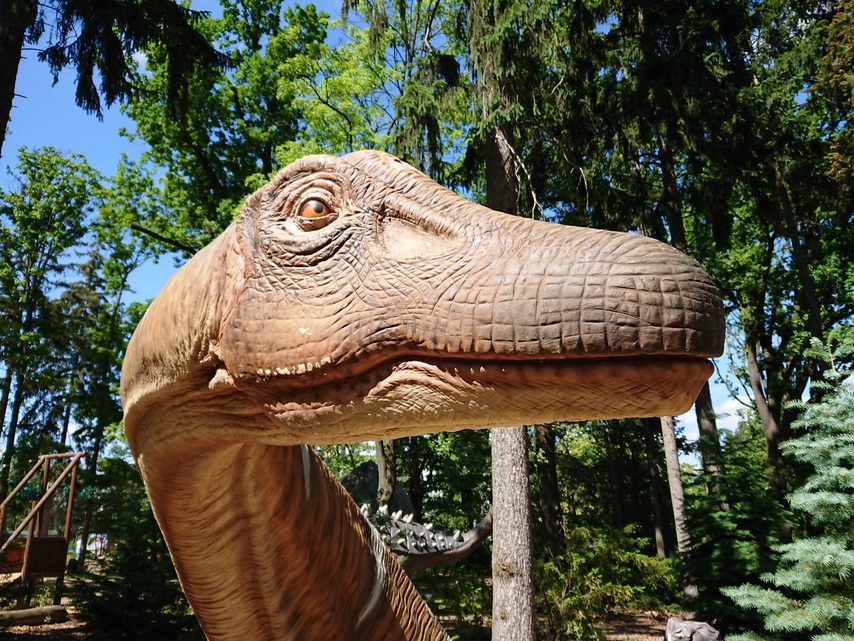 Sony Xperia XZ Premium