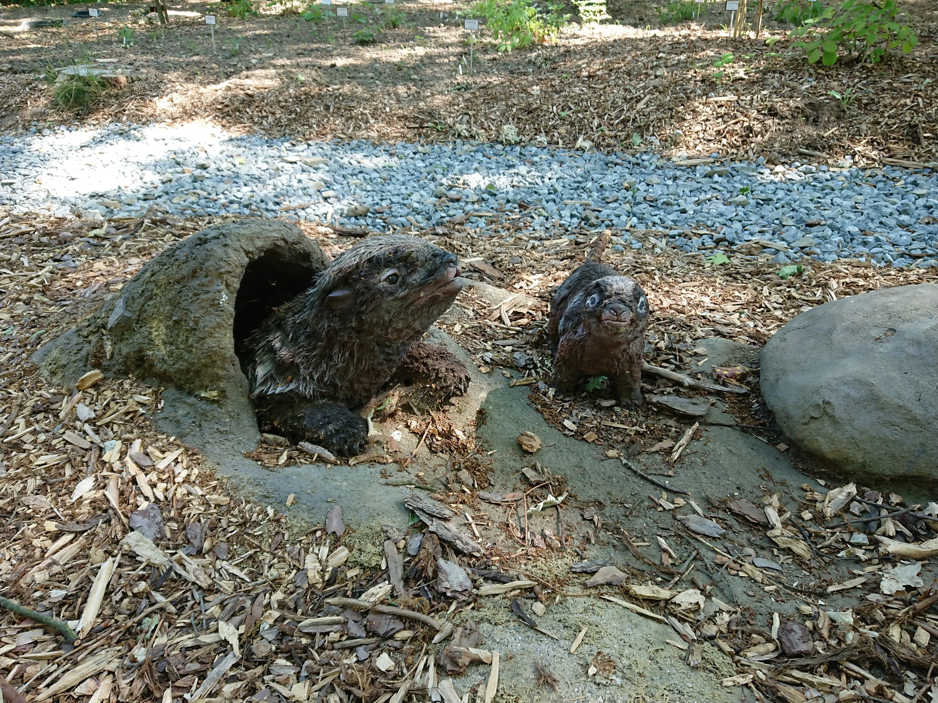 Sony Xperia XZ Premium