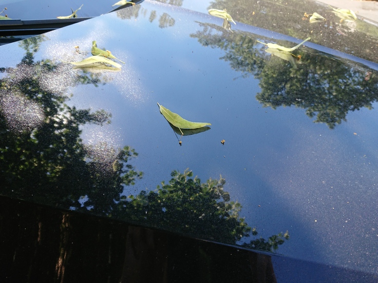 Sony Xperia XZ Premium