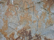 Sony Xperia XZ Premium