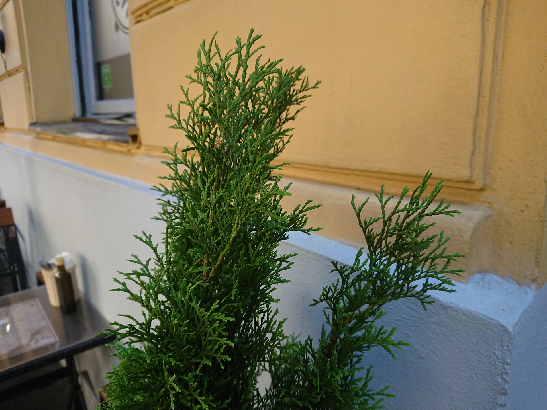 Sony Xperia XZ Premium