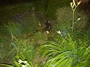 Sony Xperia XZ Premium