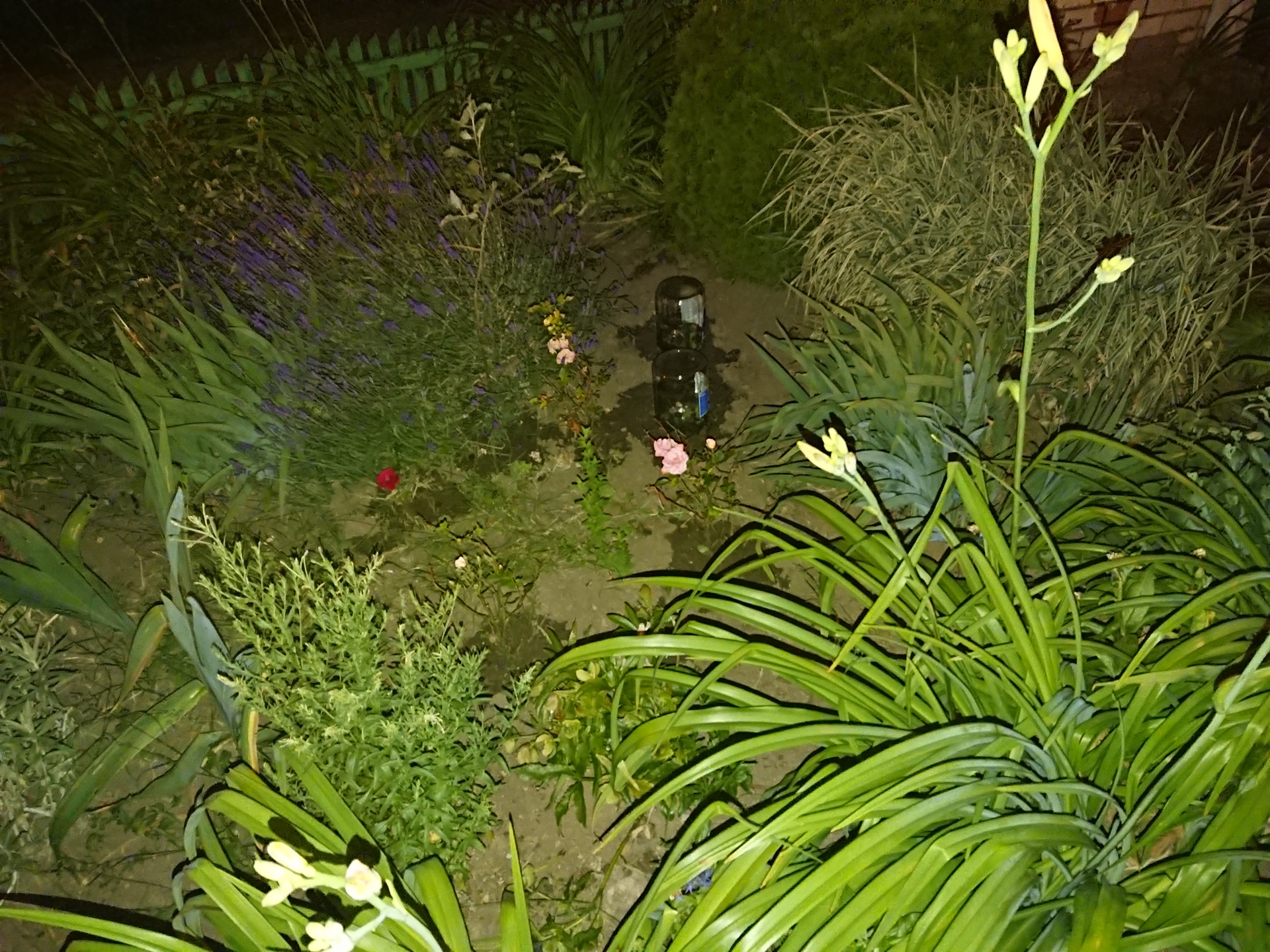 Sony Xperia XZ Premium