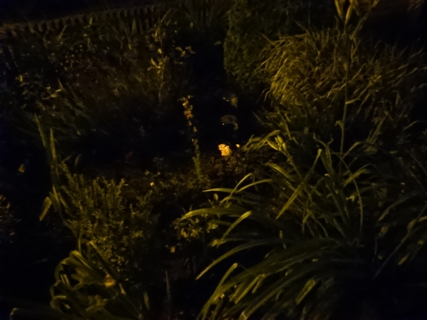 Sony Xperia XZ Premium