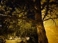 Sony Xperia XZ Premium