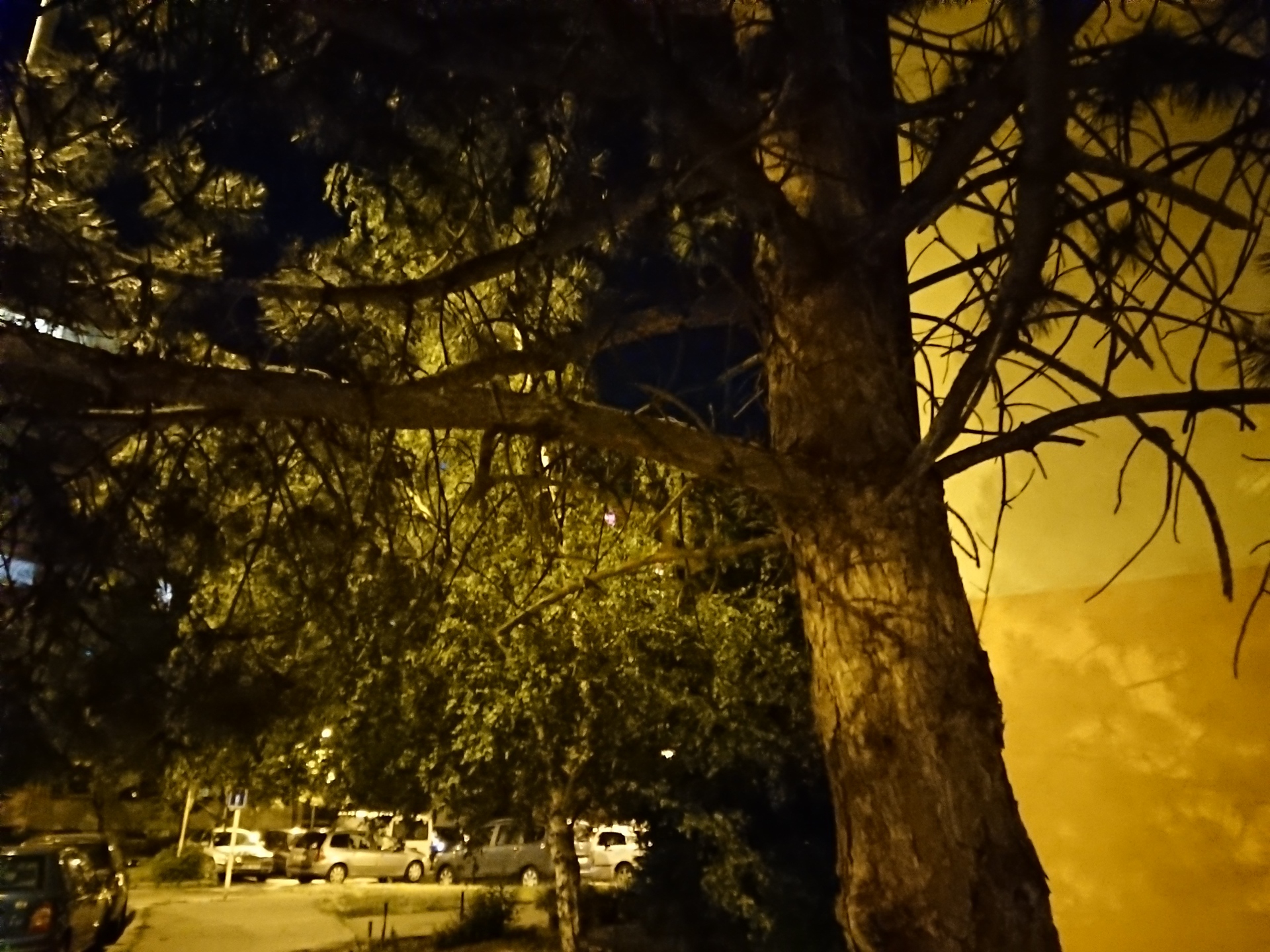 Sony Xperia XZ Premium