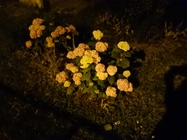 Sony Xperia XZ Premium