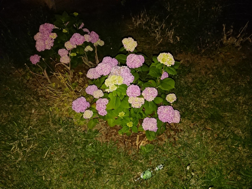 Sony Xperia XZ Premium