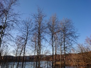 Sony Xperia XZ2 Compact