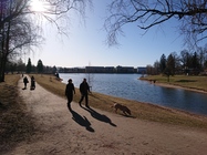 Sony Xperia XZ2 Compact