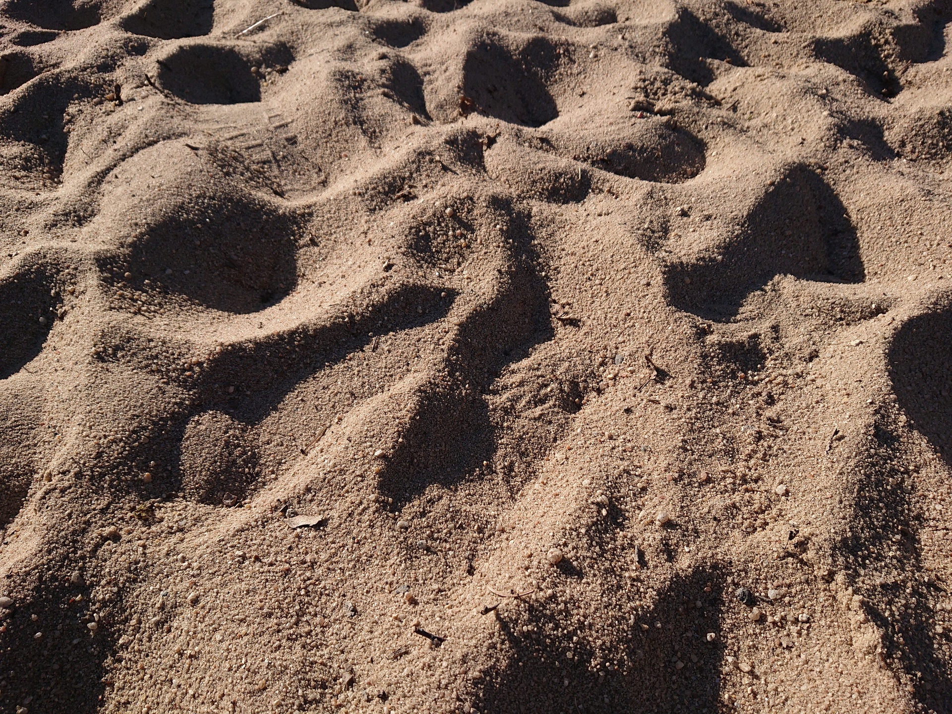 Sony Xperia XZ2 Compact