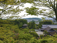 Sony Xperia XZ2 Premium