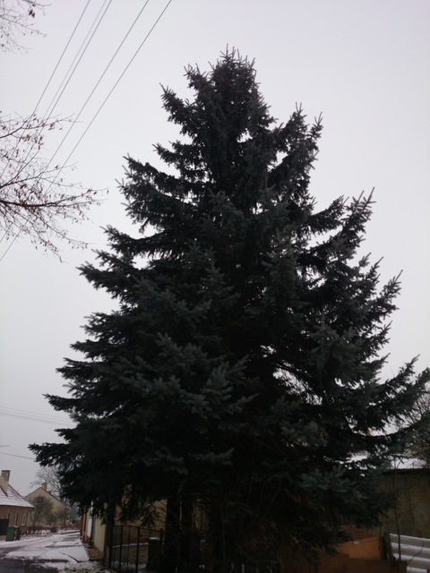 Sony Xperia Z1 Compact