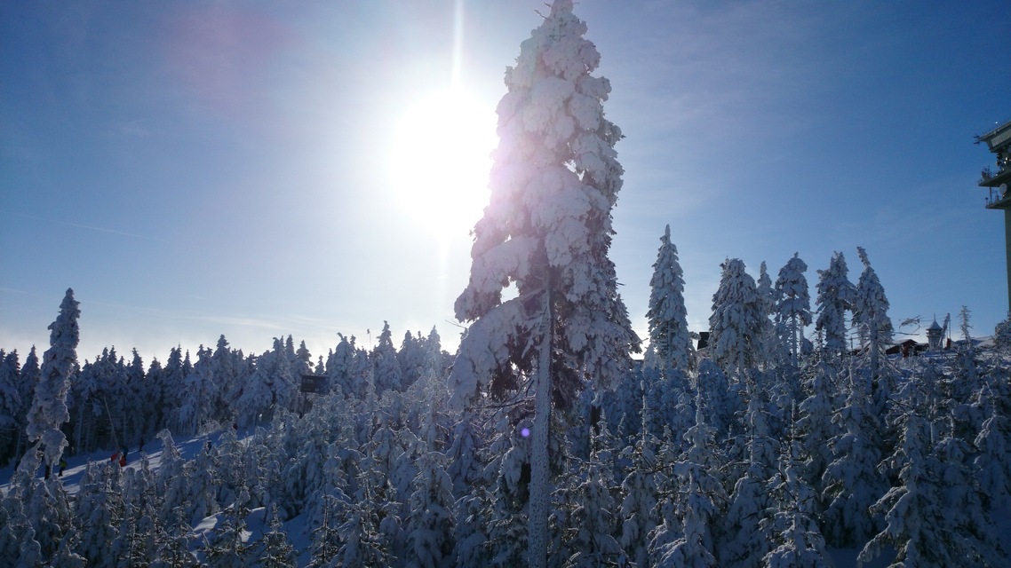 Sony Xperia Z1 Compact