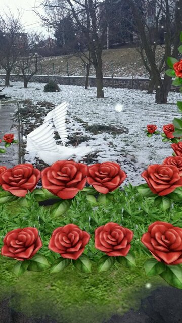 Sony Xperia Z1 Compact