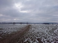 Sony Xperia Z1 Compact